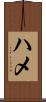 ハメ Scroll