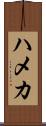 ハメカ Scroll