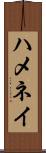 ハメネイ Scroll