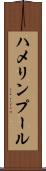 ハメリンプール Scroll