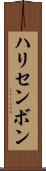 ハリセンボン Scroll