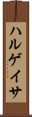 ハルゲイサ Scroll