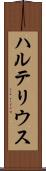 ハルテリウス Scroll