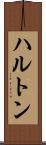 ハルトン Scroll