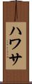 ハワサ Scroll