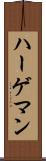 ハーゲマン Scroll