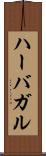 ハーバガル Scroll