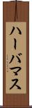 ハーバマス Scroll