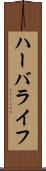 ハーバライフ Scroll