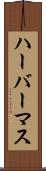 ハーバーマス Scroll