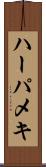 ハーパメキ Scroll