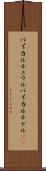 バイカルチュラル Scroll