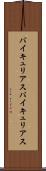 バイキュリアス Scroll