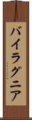 バイラグニア Scroll