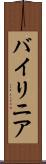 バイリニア Scroll