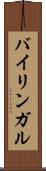 バイリンガル Scroll
