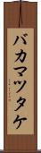 バカマツタケ Scroll