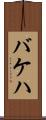 バケハ Scroll