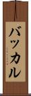 バッカル Scroll