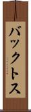 バックトス Scroll