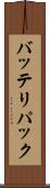 バッテリパック Scroll