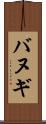 バヌギ Scroll
