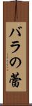 バラの蕾 Scroll