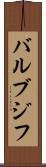 バルブジフ Scroll