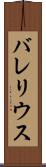 バレリウス Scroll