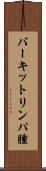 バーキットリンパ腫 Scroll