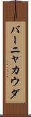 バーニャ・カウダ Scroll