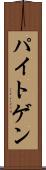 パイトゲン Scroll