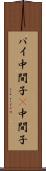 パイ中間子 Scroll