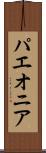 パエオニア Scroll