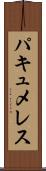 パキュメレス Scroll