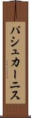 パシュカーニス Scroll