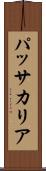 パッサカリア Scroll