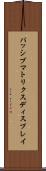 パッシブ・マトリクス・ディスプレイ Scroll
