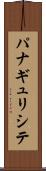 パナギュリシテ Scroll