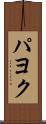 パヨク Scroll