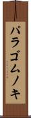 パラゴムノキ Scroll