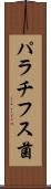 パラチフス菌 Scroll