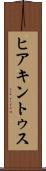 ヒアキントゥス Scroll