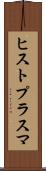 ヒストプラスマ Scroll