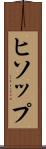 ヒソップ Scroll