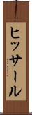 ヒッサール Scroll