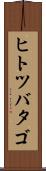 ヒトツバタゴ Scroll