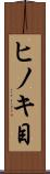 ヒノキ目 Scroll
