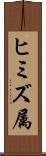 ヒミズ属 Scroll