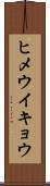 ヒメウイキョウ Scroll